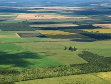La Corte revocó el fallo que declaraba inconstitucional la derogación de la Ley de Tierras.