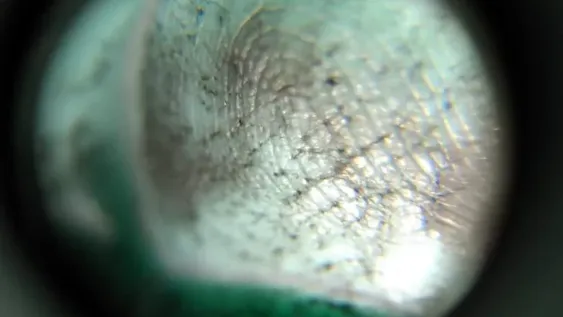 Presentan un método sanjuanino para identificar rápidamente cuerpos sumergidos