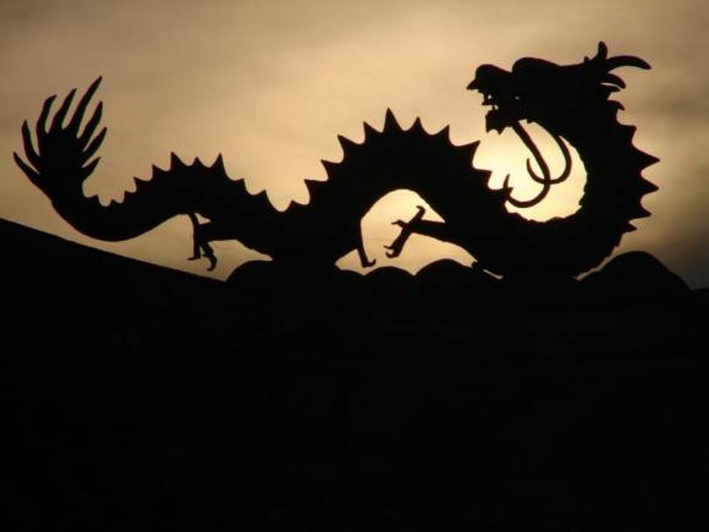 El año del Dragón
