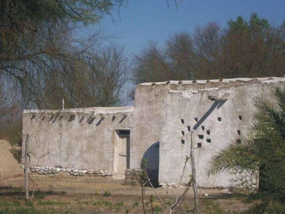 El camino de los molinos alza vuelo