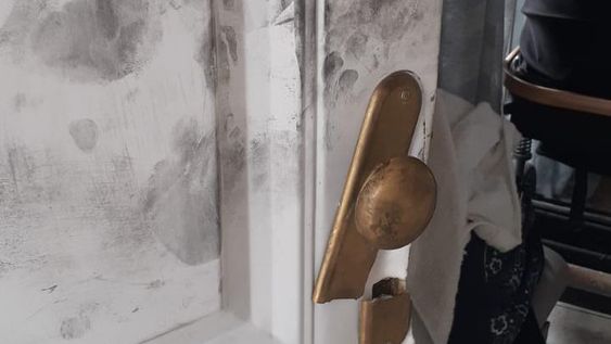 Reventaron la puerta y robaron computadoras con las tesis de doctorado y 4.000 dólares