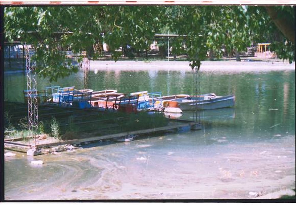 Harán kayak en el lago del Parque y podrían regresar los botes a pedal
