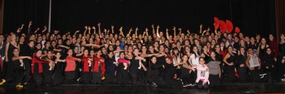 Show con gusto flamenco