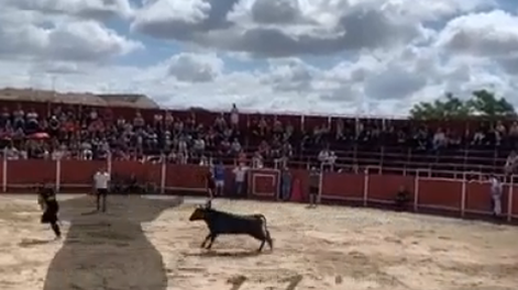 Un toro embistió y mató de una brutal cornada a un joven en un encierro