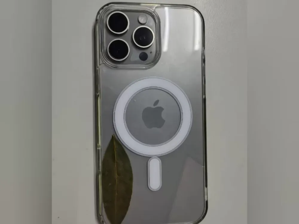 Intentaron robarle la mochila, se resistió y le sacaron el celular: a los metros, lo detuvieron