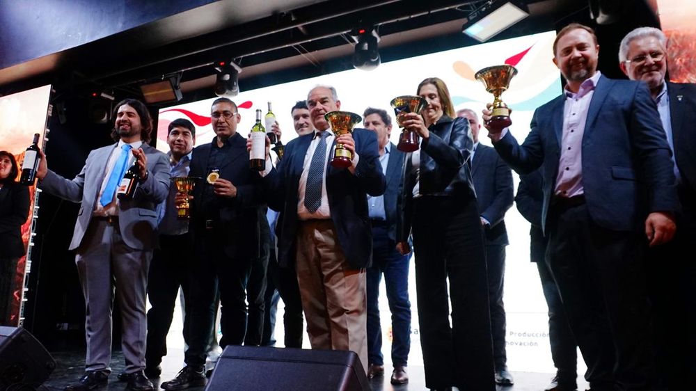Los representantes de las bodegas ganadoras del Gran Oro levantan sus copas en el escenario del Salón Grazia, durante el momento más esperado de la gala de la 38ª Cata San Juan.