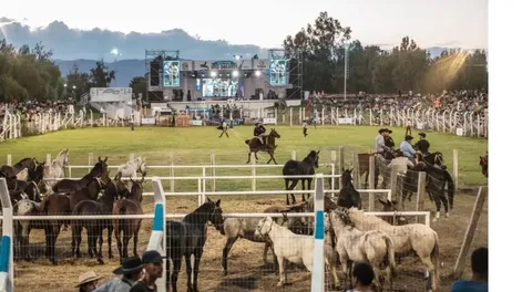 Diario de Cuyo | En Médano de Oro se prepara para el festival de destrezas criollas y folklore