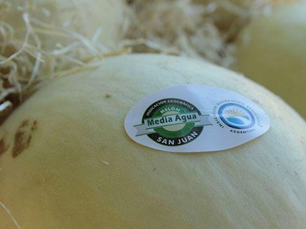 El melón de Media Agua-San Juan prepara la campaña 2020-2021