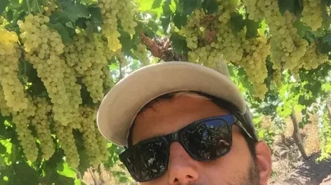 Reinvertir en los viñedos es el buen consejo al productor