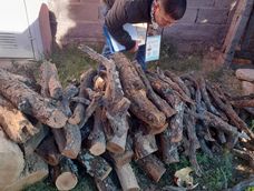 El municipio de Valle Fértil arrancó con la Campaña Chagas 2026 con visitas a domicilio para tareas preventivas. El municipio de Valle Fértil arrancó con la Campaña Chagas 2026 con visitas a domicilio para tareas preventivas.