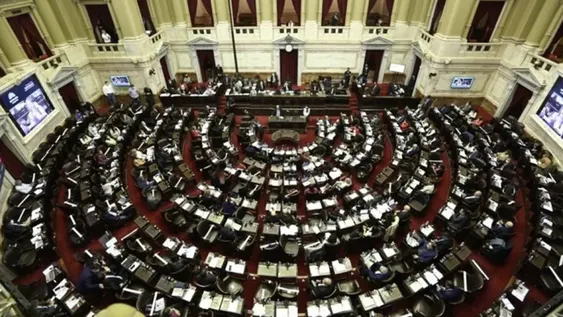 El Presidente enviará un proyecto para que las restricciones se fijen por ley