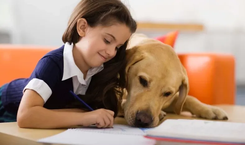 El ranking de las 5 mejores mascotas para los niños y cómo lograr que ellos las cuiden