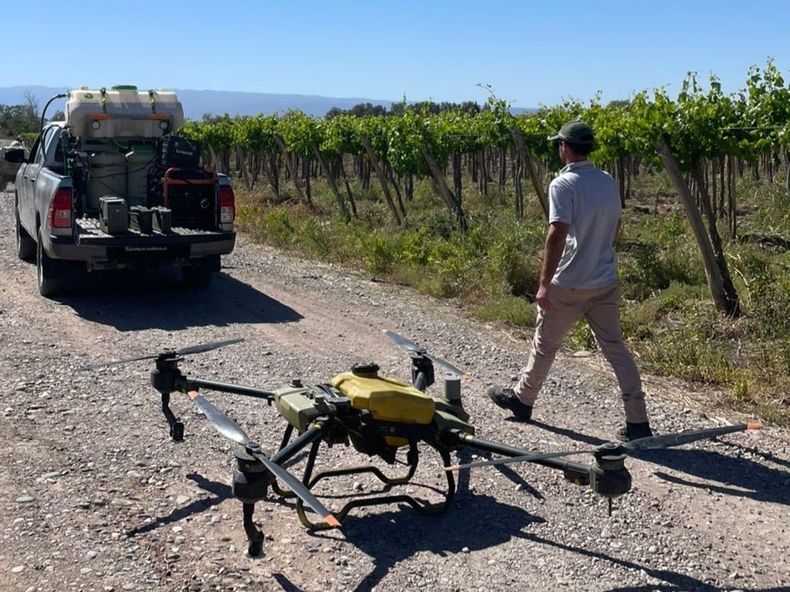 La campaña 2026/2027 combina aplicaciones con avión, drones y entrega de producto a los productores que no alcanzan los vuelos.