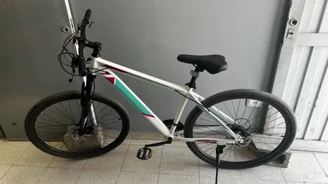 Robó una bicicleta de un comercio, pero dos hombres lo atraparon y lo llevaron hasta la comisaría