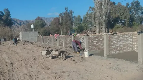 Perros: municipios dan el ok para que las protectoras controlen los refugios