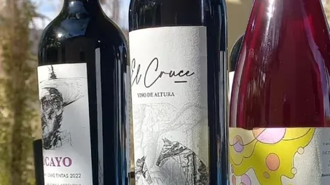 Nace nueva cooperativa