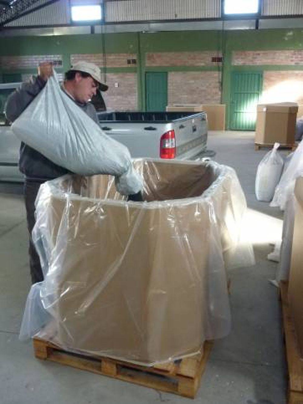 Simientes de calidad