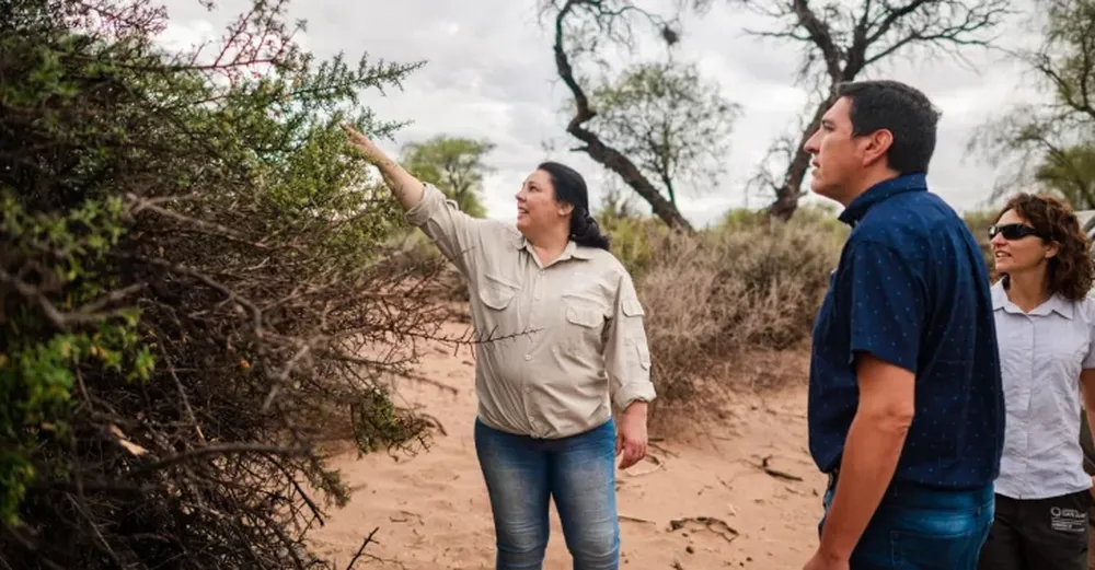 CONTROL. Gente de la Dirección de Bosques Nativos visita periódicamente los proyectos de preservación vigentes para controlar que cumplan con lo estipulado.