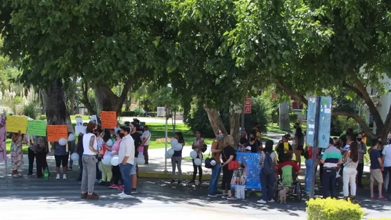 Entre polémica y críticas, aprobaron la ley sobre los perros peligrosos