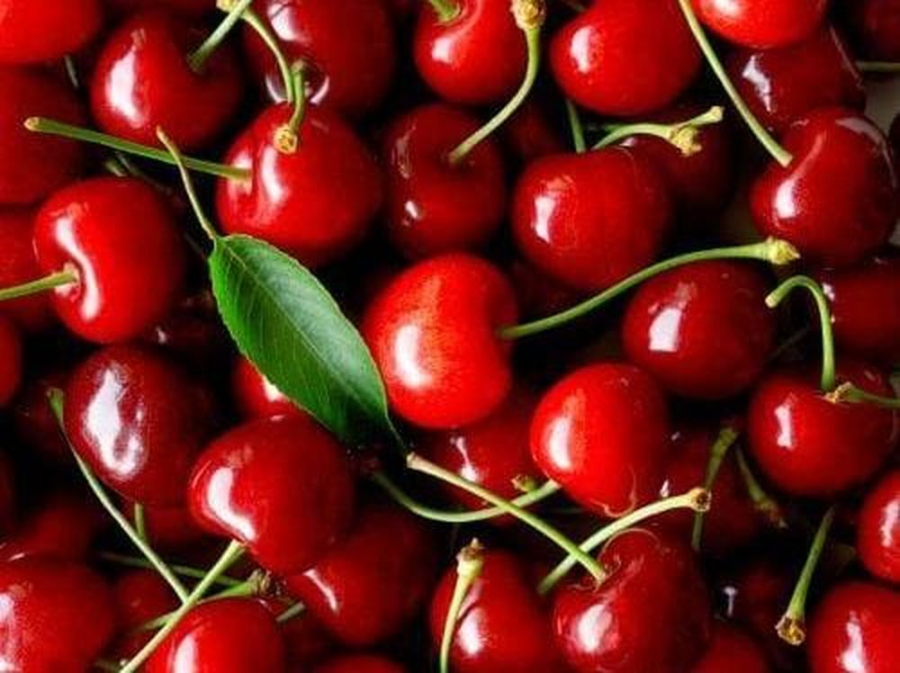 Las exportaciones de cereza aumentan un 20 por ciento