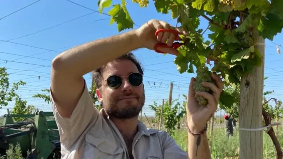 Comenzó la vendimia 2023 en empresa familiar de San Juan