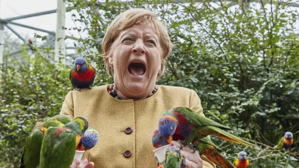 Angela Merkel visitó un parque de aves y quedó “cercada” por una bandada de loros