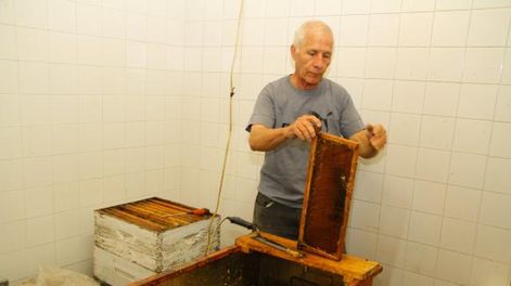 Por el agujero de ozono caería producción de miel en San Juan