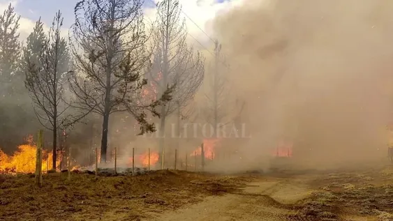 Seis turistas fueron imputados por hacer un asado que desencadenó el fuego en El Bolsón