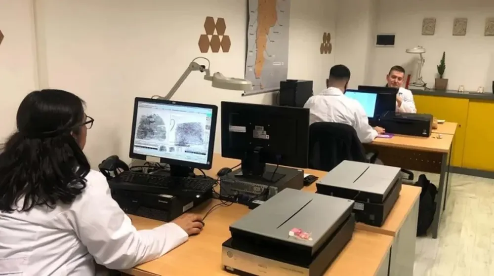 Afirman que el empleo público y el monotributo impulsaron la generación de trabajo en el país