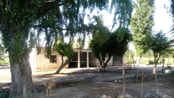 Un niño de 13 años fue quien halló el cadáver del casero: ¿buscaban la plata de una pensión?