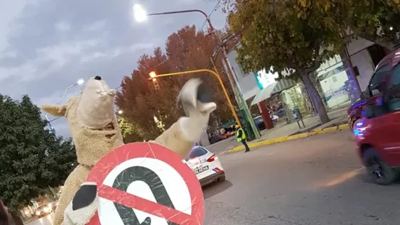 La llamativa campaña vial que sorprendió a los cauceteros