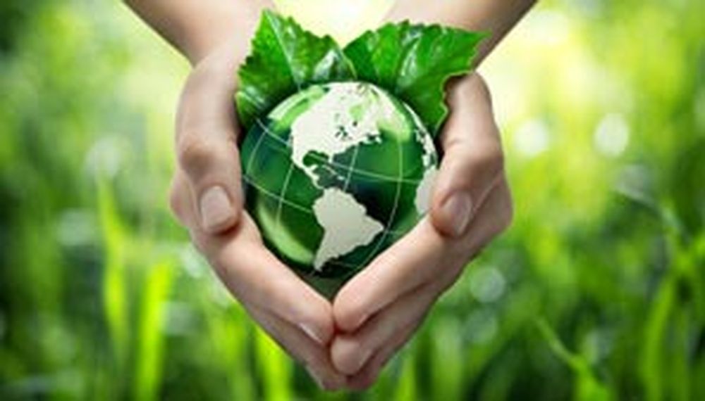 ¿Qué es la bioeconomía o economía ecológica?