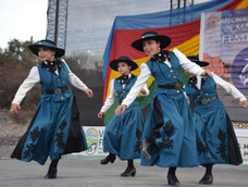 En el selectivo de Malambo Femenino que se hará en Valle Fértil se conformará la delegación que representará a San Juan en el Nacional de Córdoba.&nbsp;