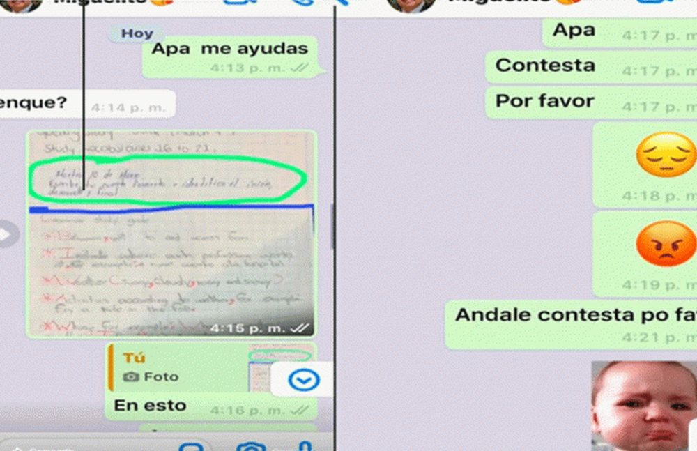 Le pidió ayuda a su papá con la tarea, copió literalmente su respuesta y se hizo viral
