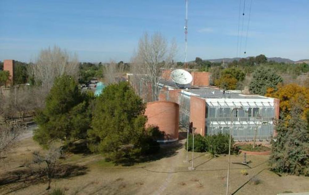 Una muestra invita a los niños a perderle miedo a los bichos