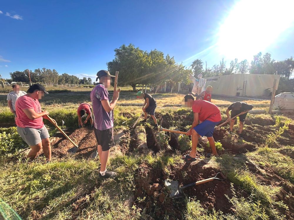 Con el trabajo en la huerta, los chicos con problemas de adicción que conviven en Proyecto Juan refuerzan su rehabilitación.