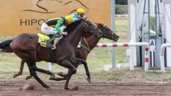 Endo Verde, es el candidato. La imagen pertenece a su mayor victoria, el pasado 30 de abril en el Gran Premio Vicente Dupuy. Venció por una cabeza al mendocino Code Braker