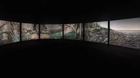 Argentina, la gran instalación del colectivo artístico Mondongo, realizada en plastilina sobre madera e integrada por 15 grandes paneles. Propiedad de ArtHaus, por primera vez itinerará por Argentina y llegará a San Juan, para el cumpleaños del Museo Provincial  Franklin Rawson.