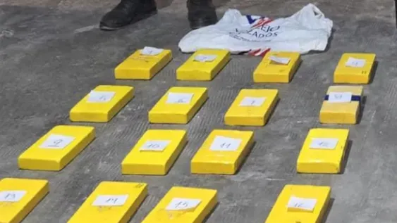 Un camionero dio la alerta y hallaron 64 kilos de cocaína ocultos entre bananas rumbo a Mendoza