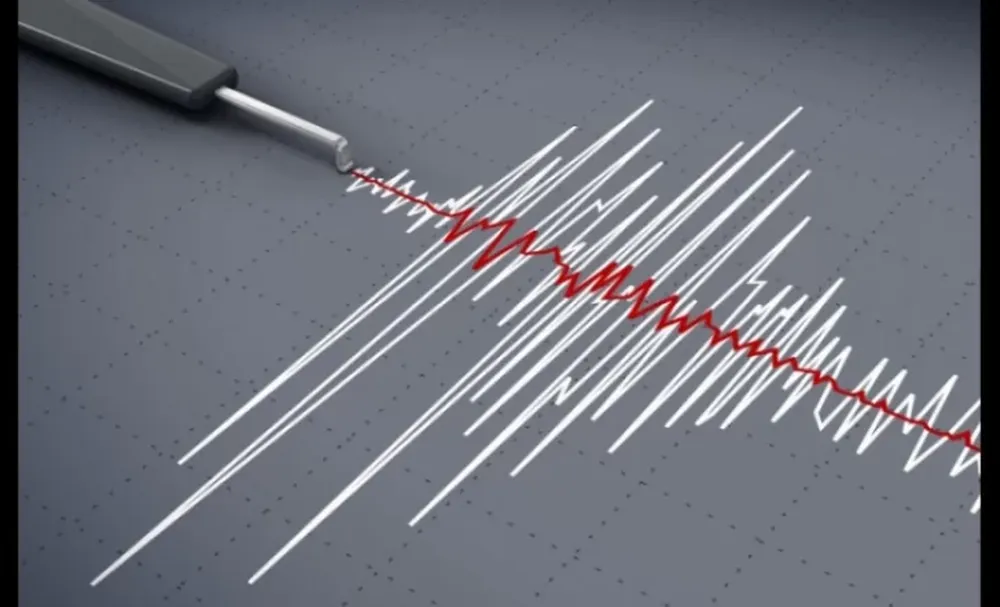 Un temblor de 5 grados en la escala de Richter sacudió a Coquimbo