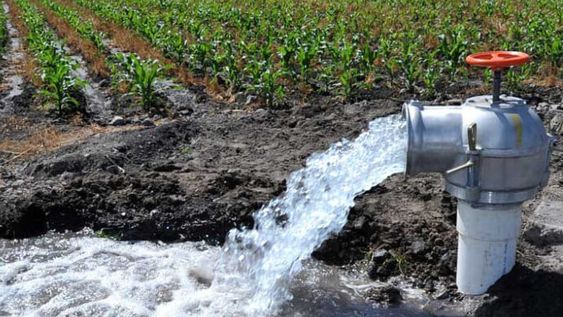 Sin ayudas, productores dicen que llegarán boletas desde $163.500