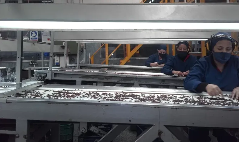 San Juan, líder en exportación de pasa orgánica certificada