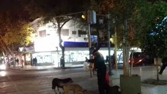El policía que hace guardia en la Peatonal y ayuda a alimentar a los perros callejeros