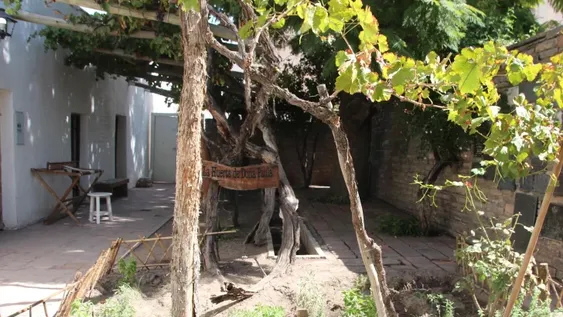 Un patio que vuelve a la vida