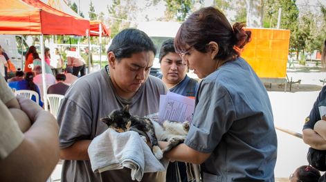 Ambiente organizó diferentes actividades para celebrar el Día del Animal.