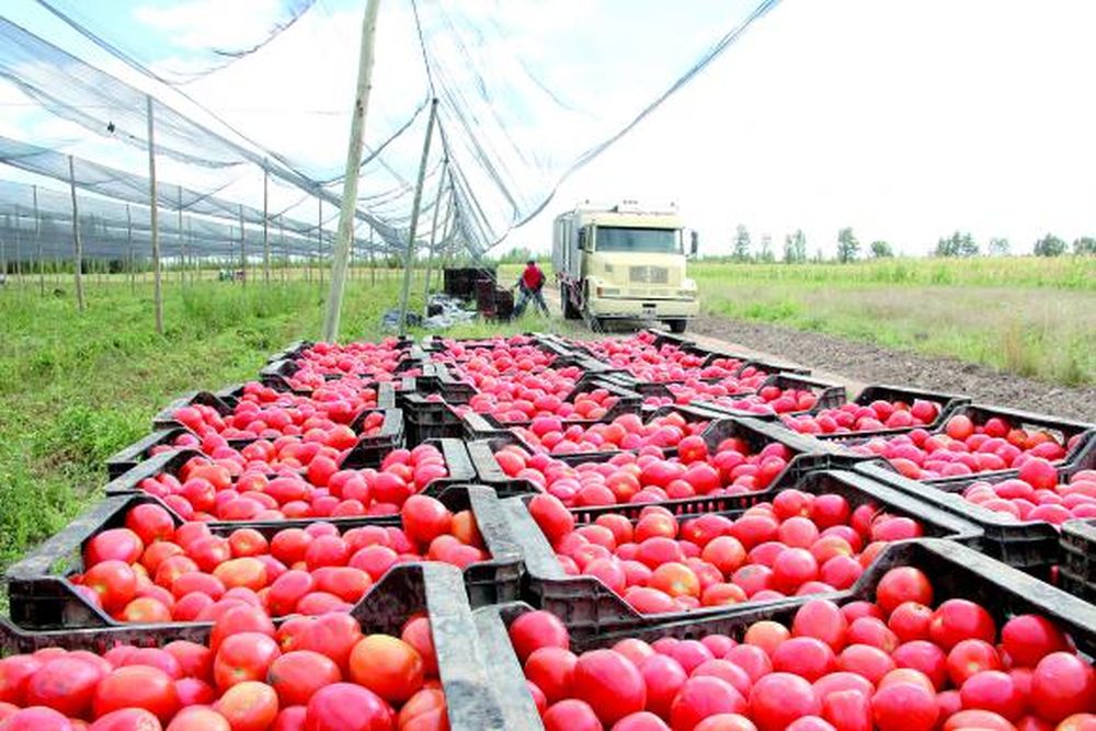 La chacra que se convirtió en un aula al aire libre