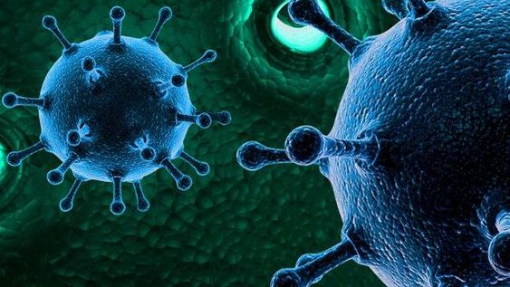 Preocupación por una nueva mutación híbrida de coronavirus