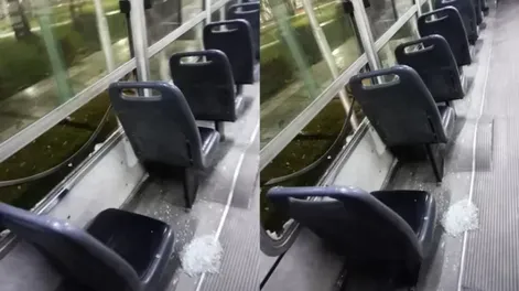 Foto: gentileza Diario Popular.-