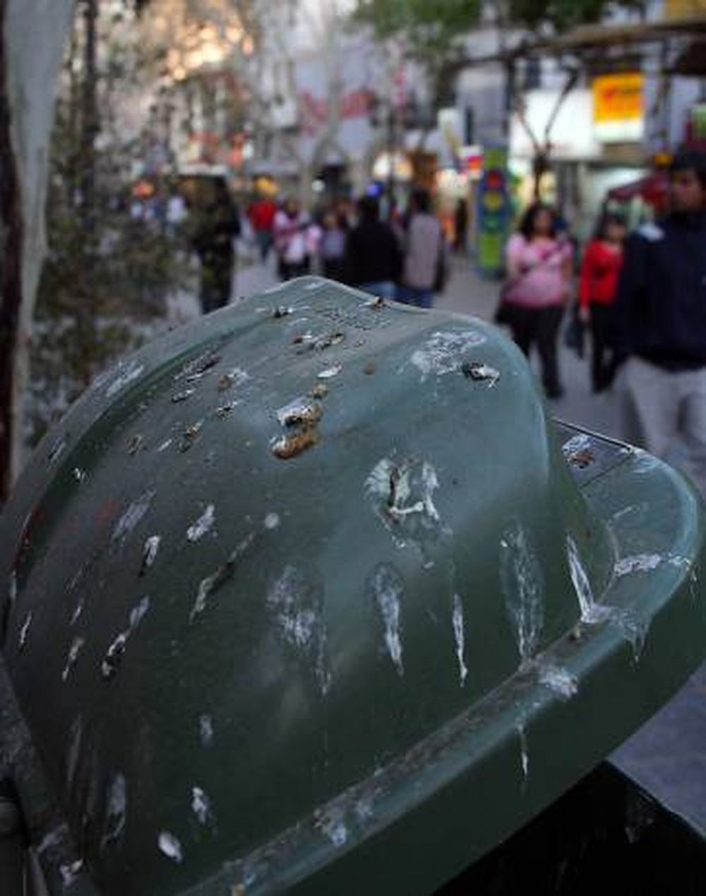 Peatonal: quieren usar halcones para espantar los tordos