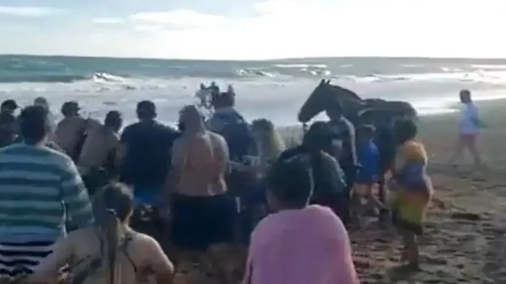 Bajó con su caballo a la playa y turistas casi lo linchan